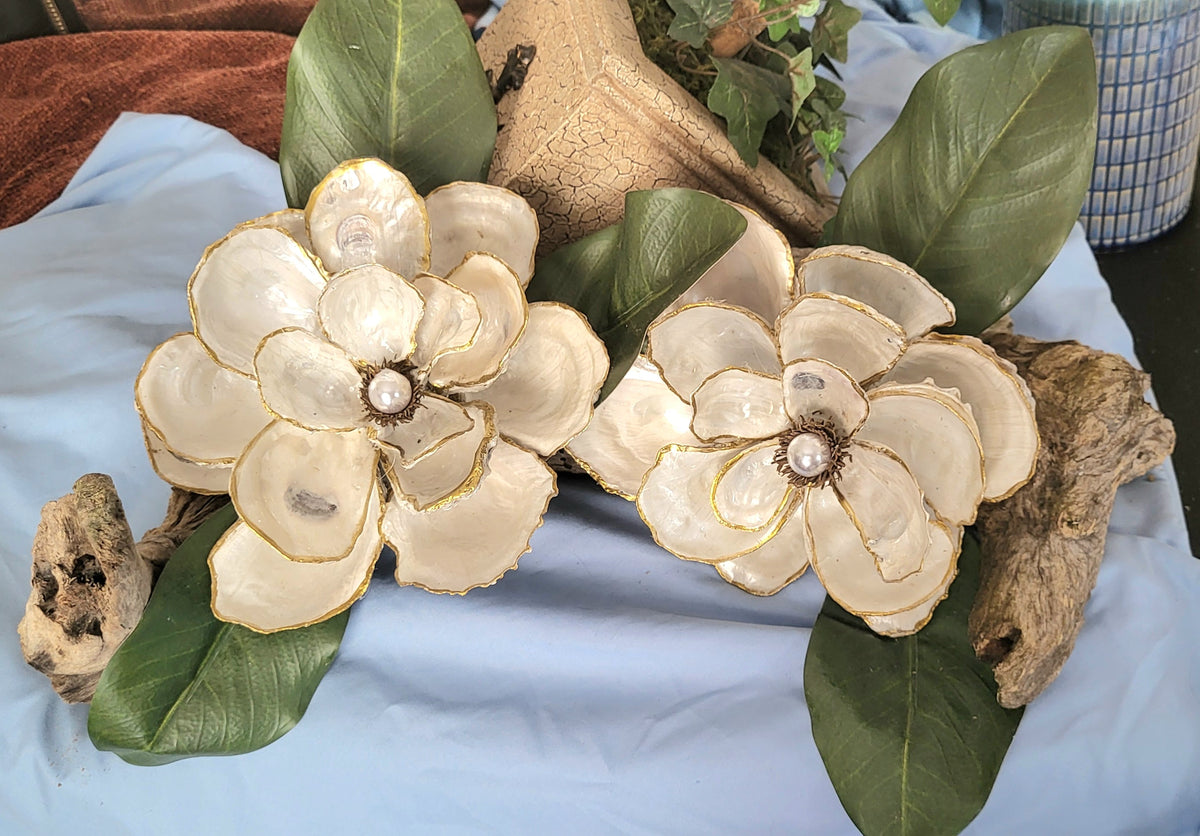 Magnolia Beauty