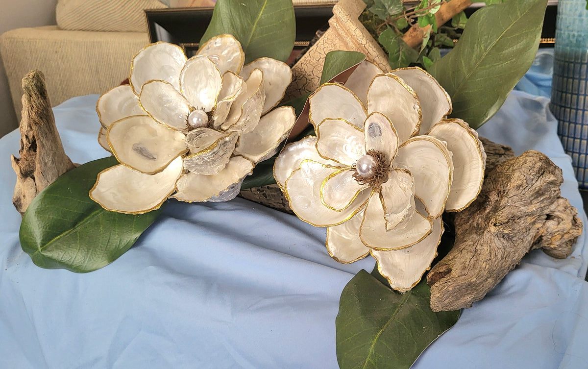 Magnolia Beauty