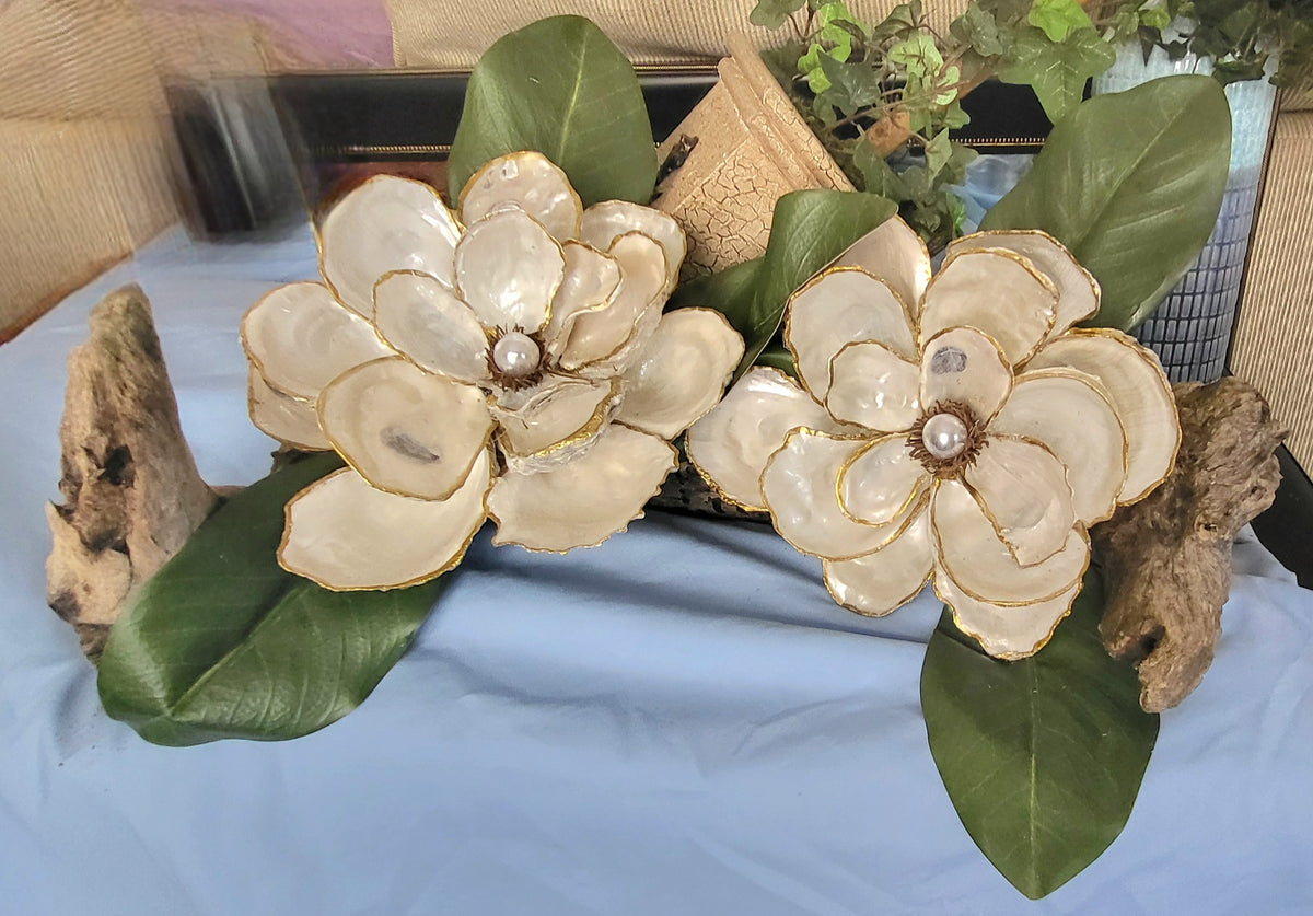 Magnolia Beauty