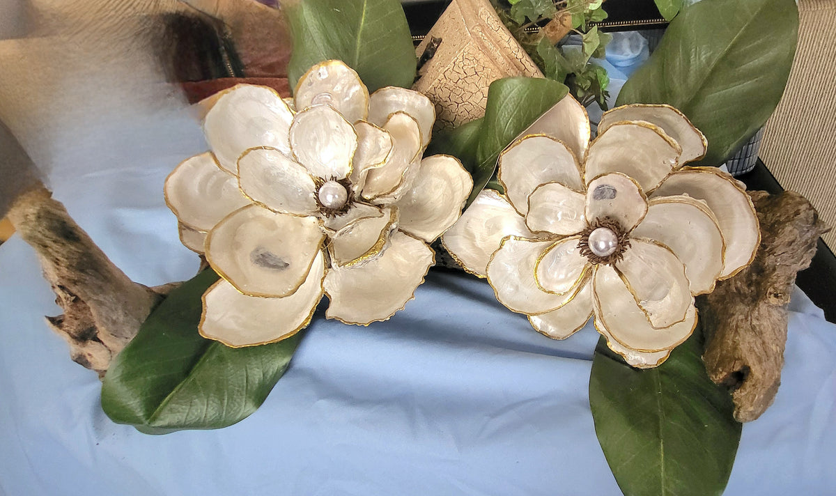Magnolia Beauty